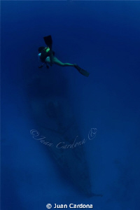 Wreck dive by Juan Cardona 